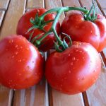 fresh-tomatoes-1-1508853
